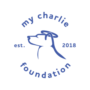 My Charlie Foundation